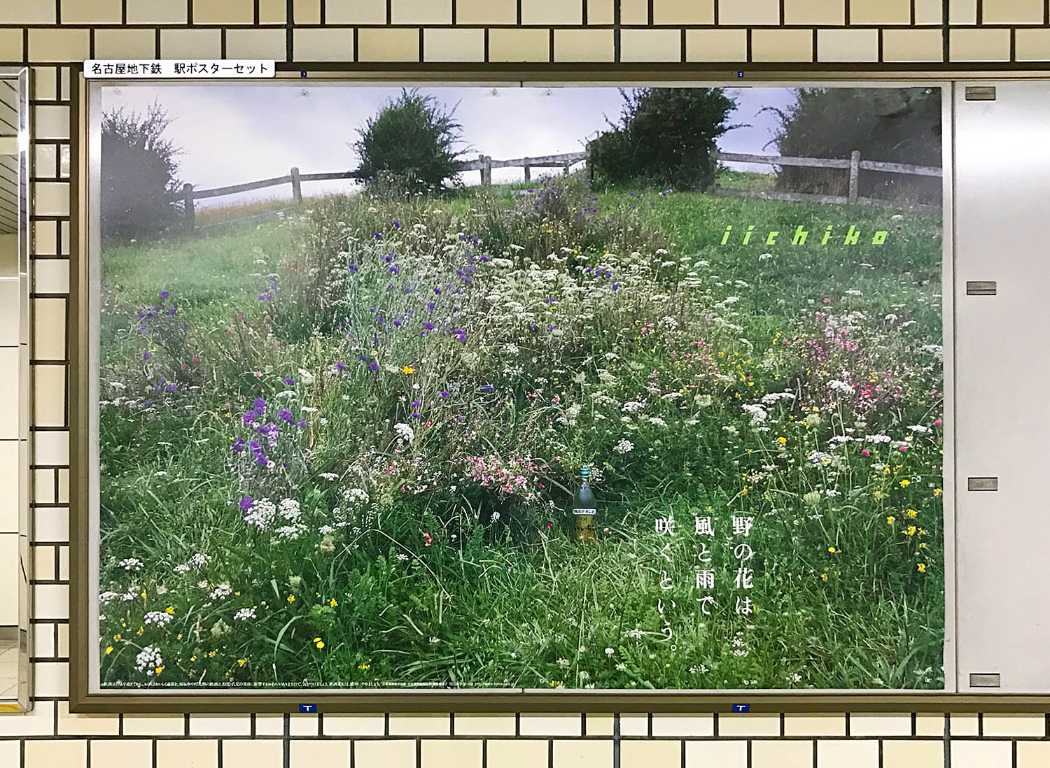 野の花は風と雨で咲くという。– いいちこ駅広告B倍ポスター 2017年5月 | ALTERNA CREATES - オルタナクリエイツ