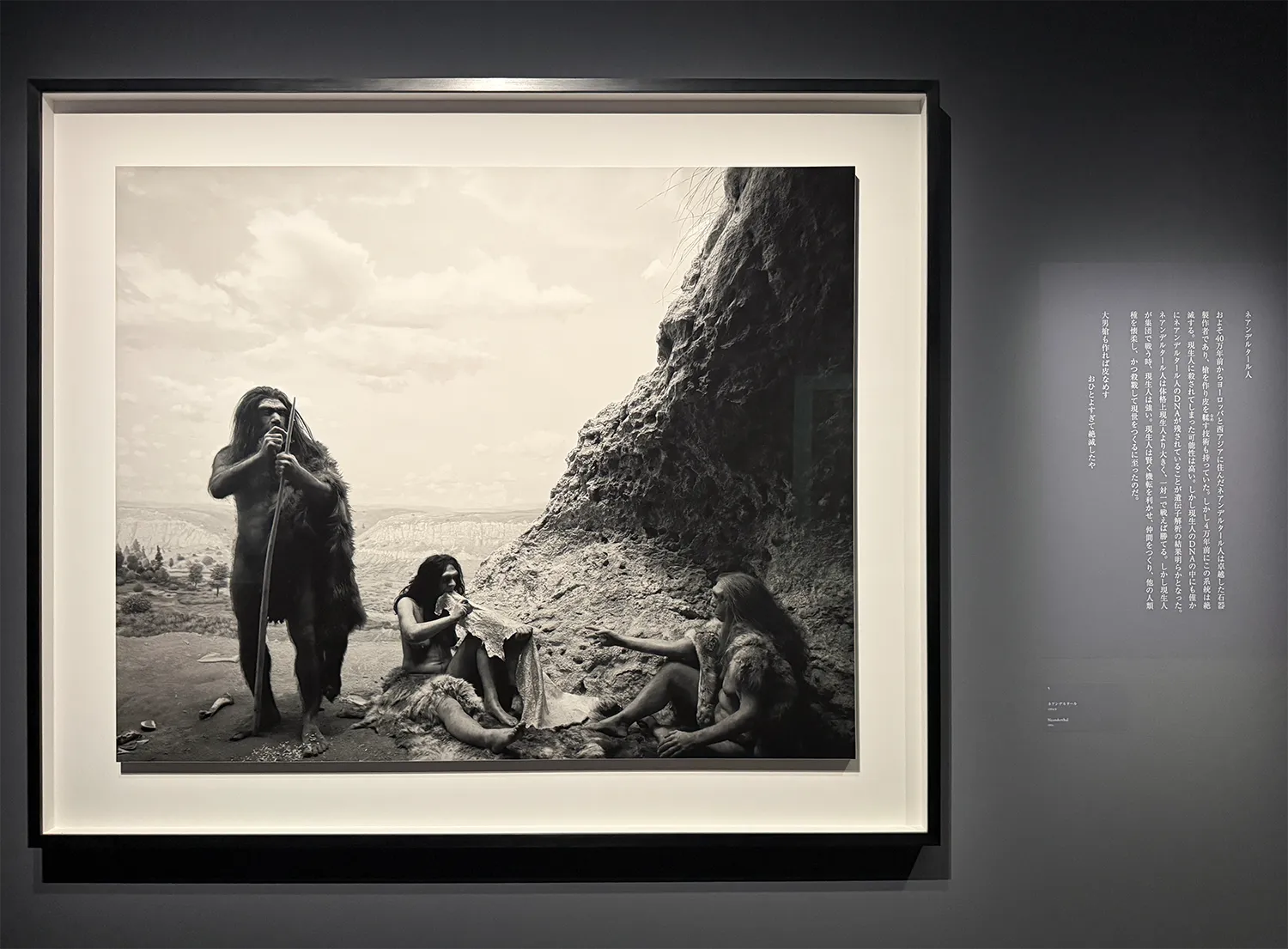 杉本博司_絶滅写真_東京国立近代美術館2026